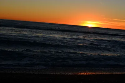 DSC_1303 (Large).JPG